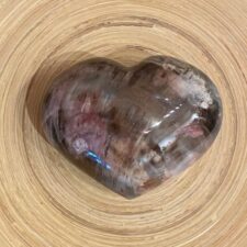 Petrified Wood Heart Stone